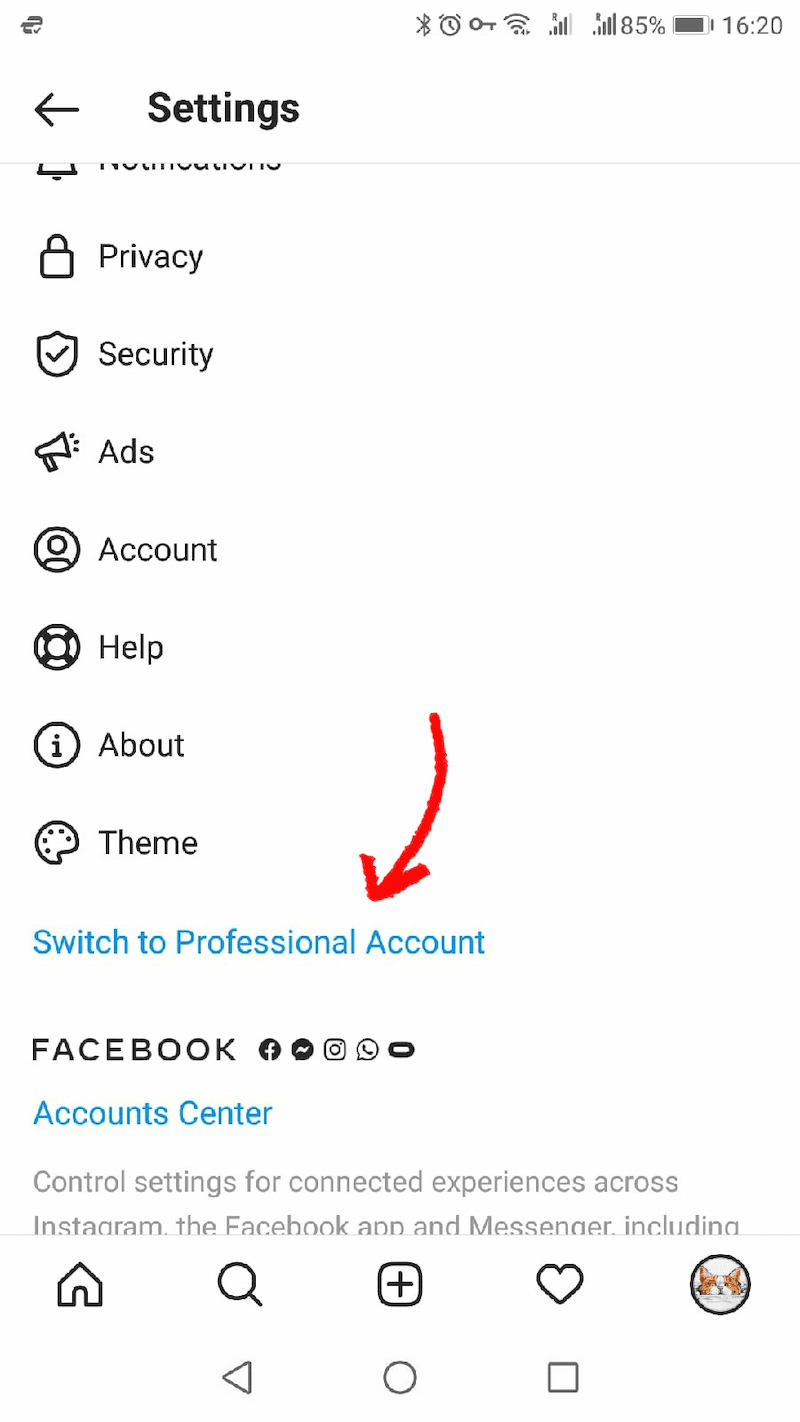 Instagram 'Switch to Professional Account' button